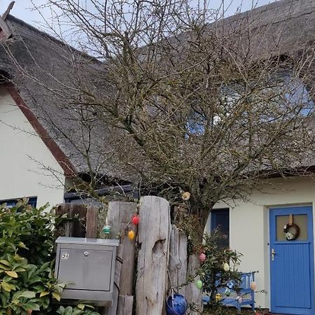 Ferienwohnung Im Rohrdachhaus Wustrow (Fischland) Exterior foto